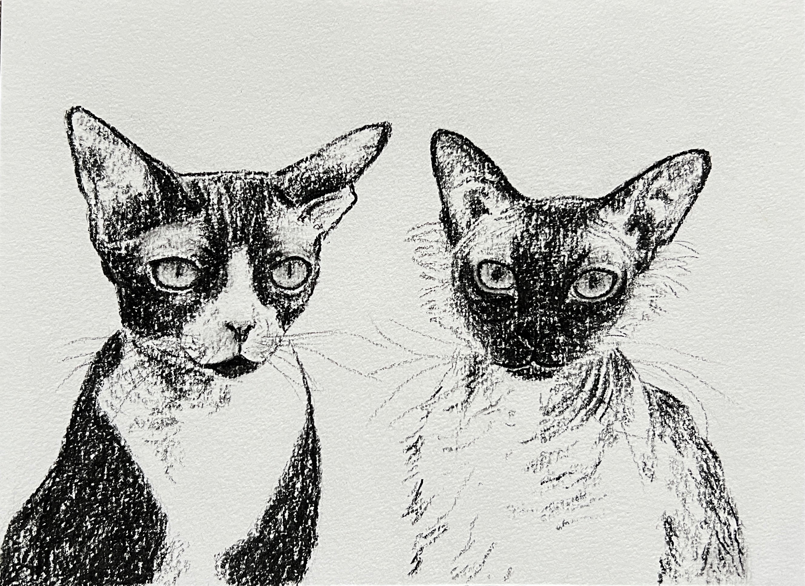 Custom Pet Portrait | Hand Drawn Charcoal Sketch