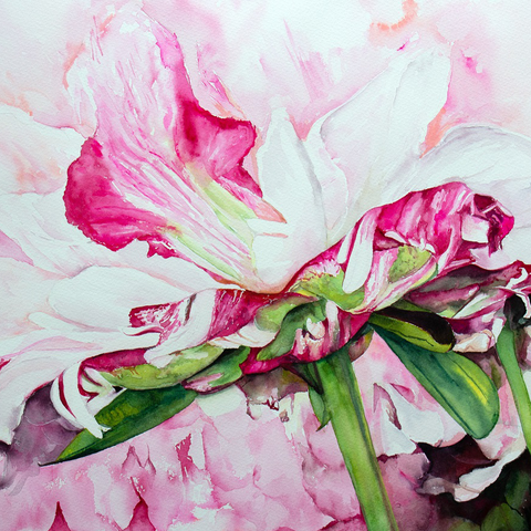 Vendor Profile Picture