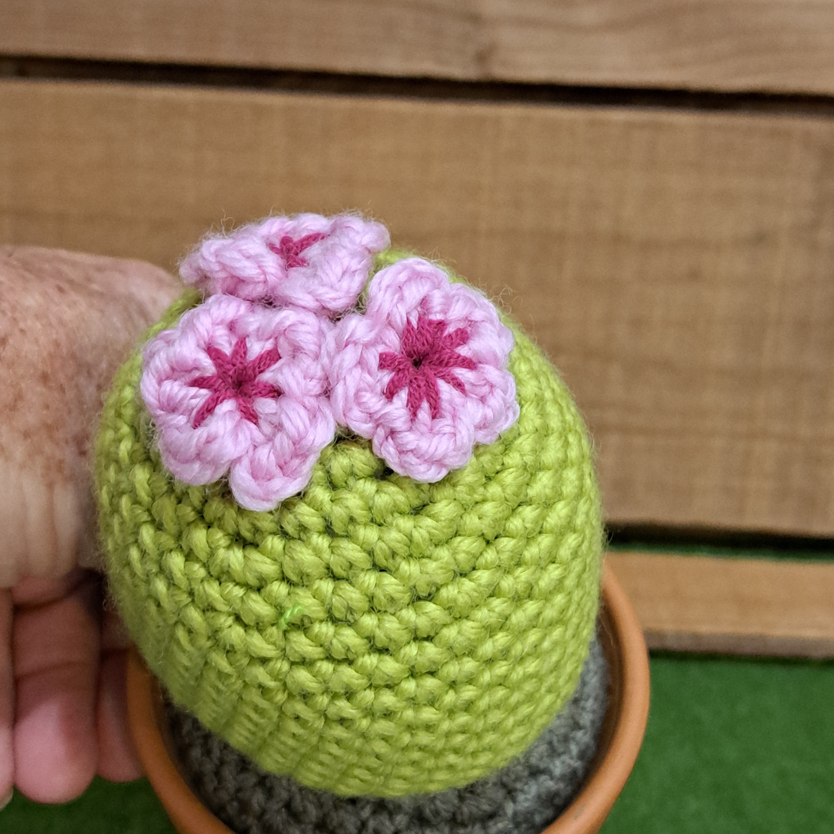 Crochet cactus/ in terracotta pot/ crochet pink flowers