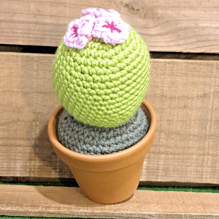 Crochet cactus/ in terracotta pot/ crochet pink flowers