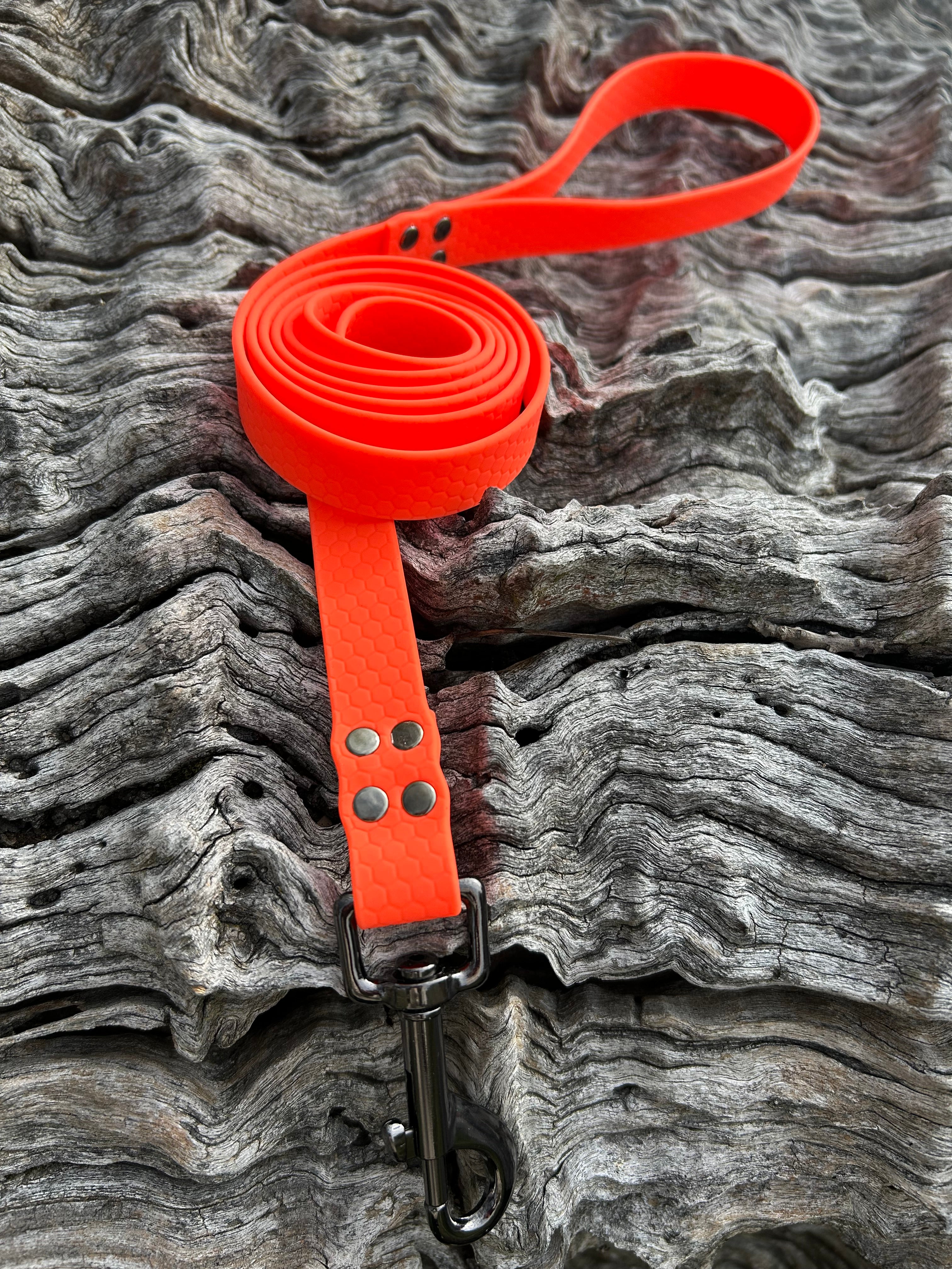 DOG LEAD LEASH WATERPROOF STRONG BRIGHT DURABLE