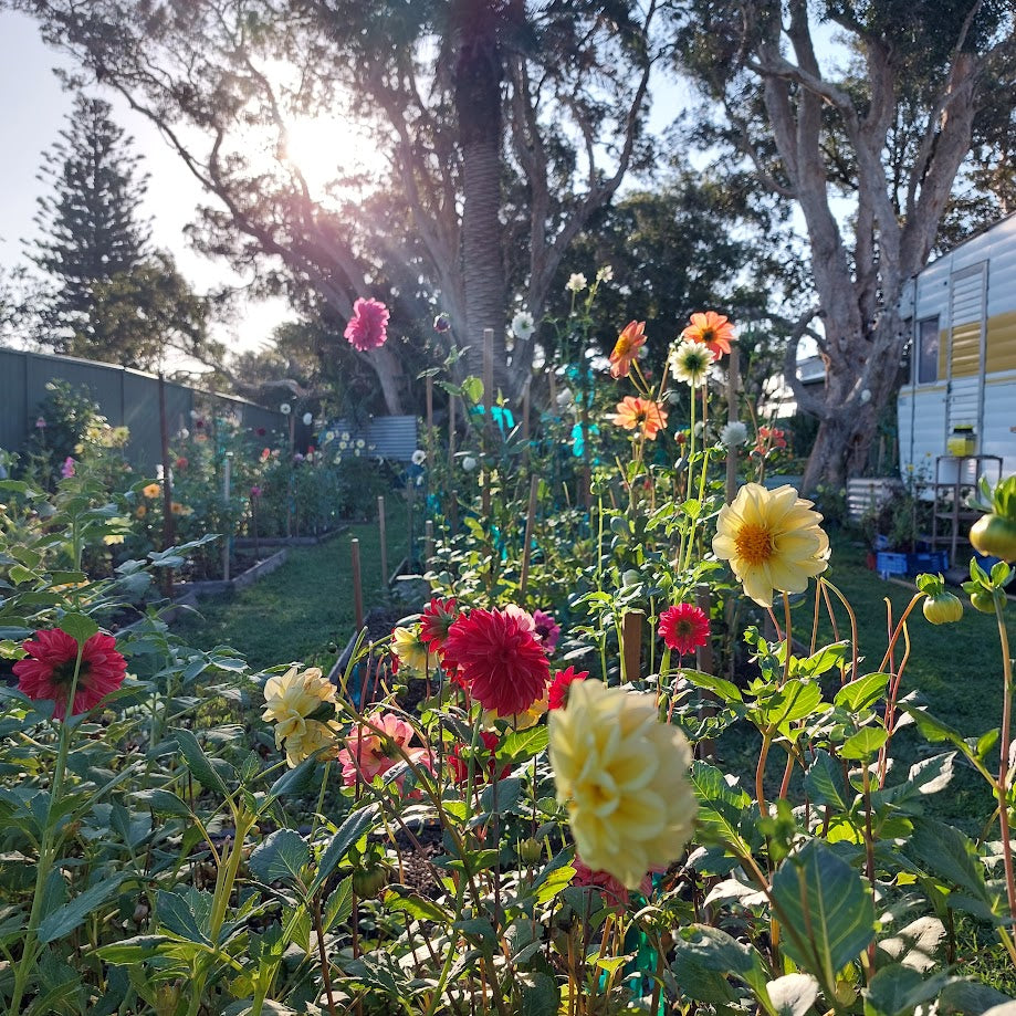 Hand-pressed botanical Wall Art | Floral Bas-Relief Plaster Plaque