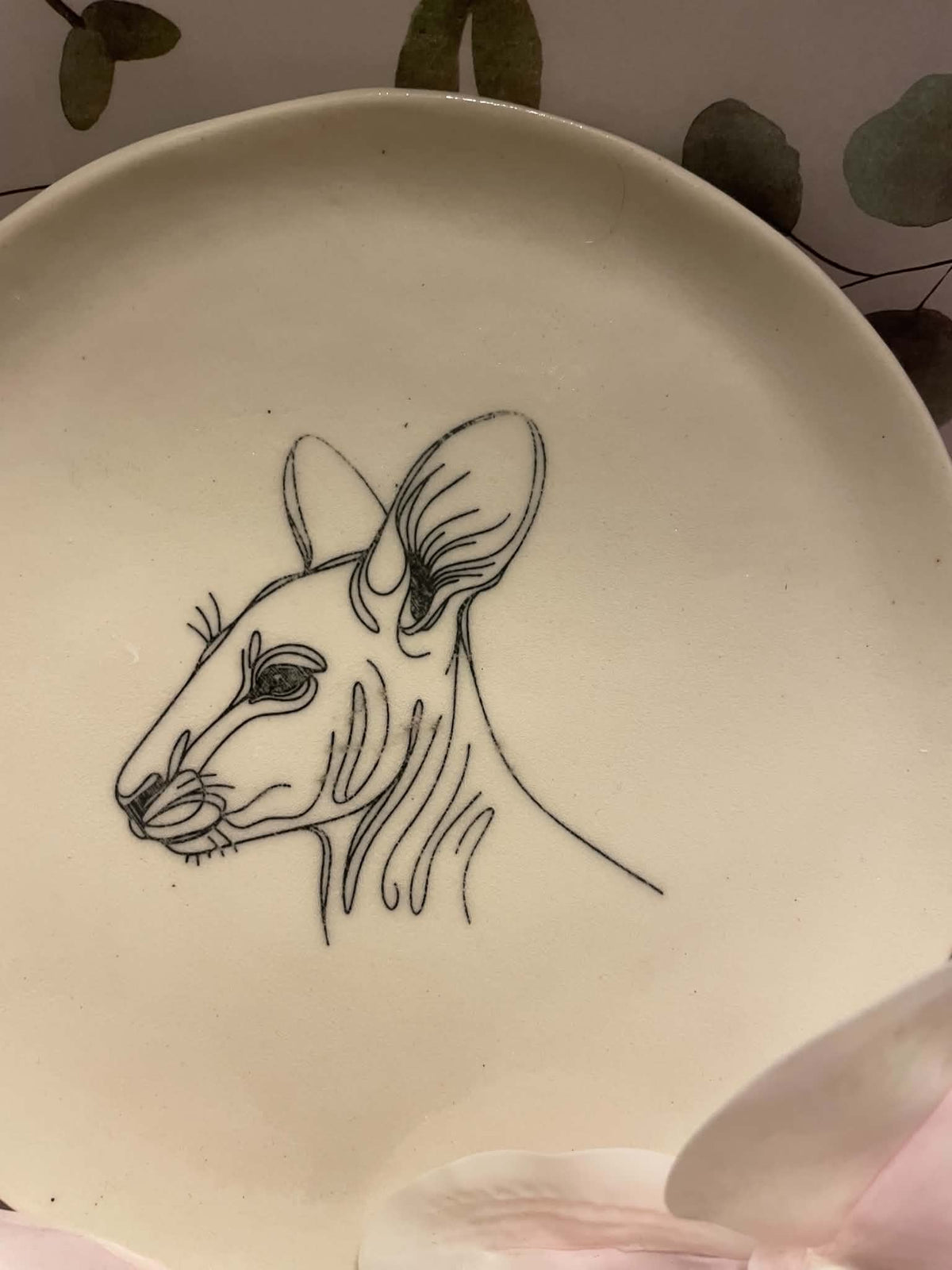 Kangaroo plate