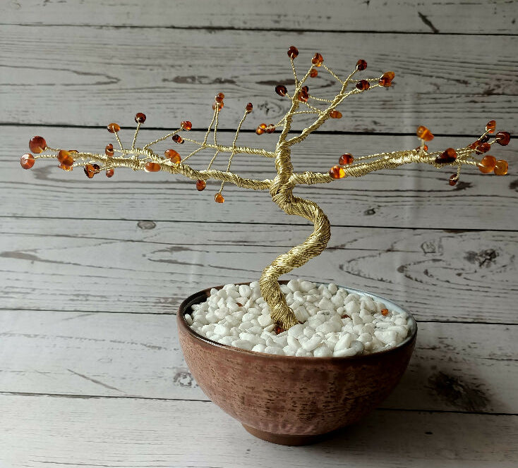 Baltic Amber Specialty