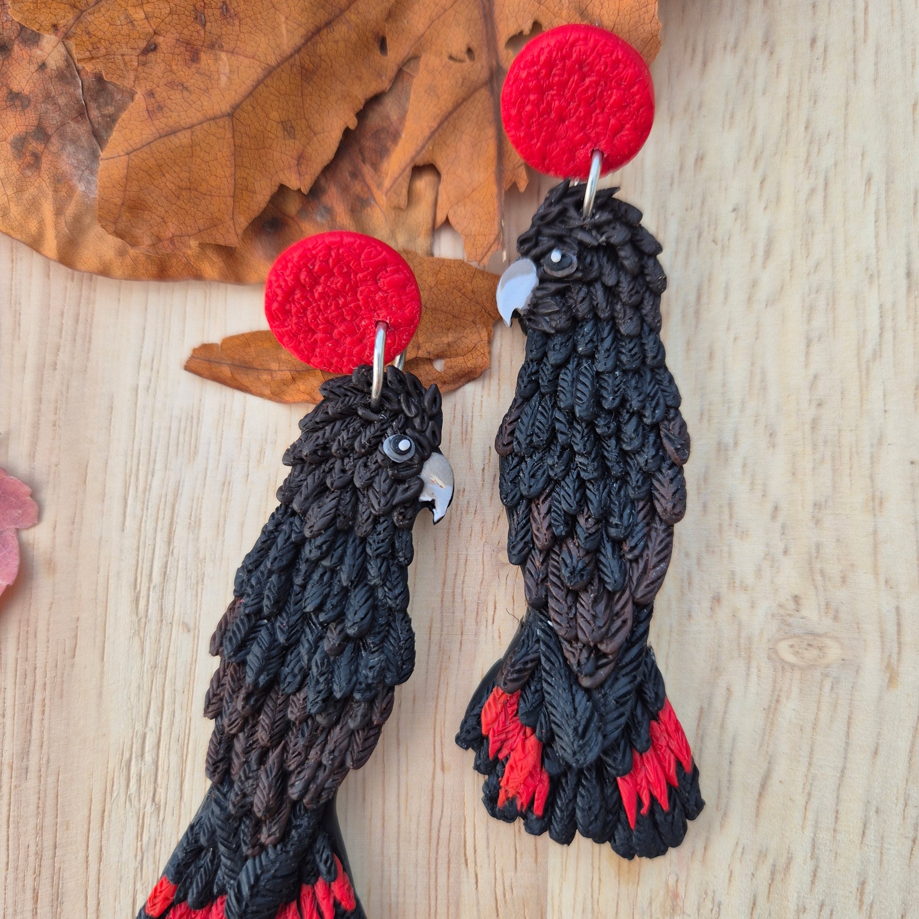 Glossy Black Cockatoo Earrings