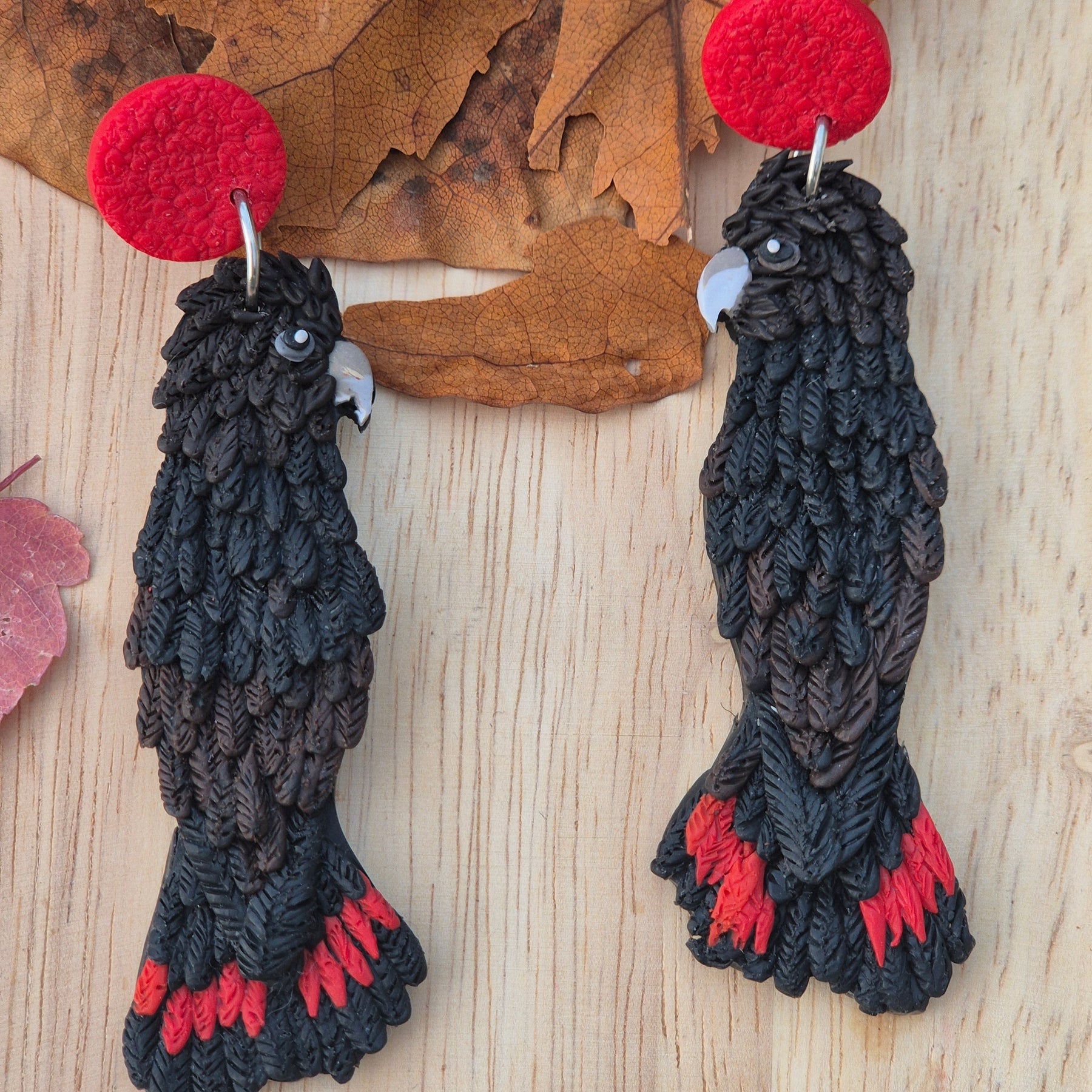 Glossy Black Cockatoo Earrings