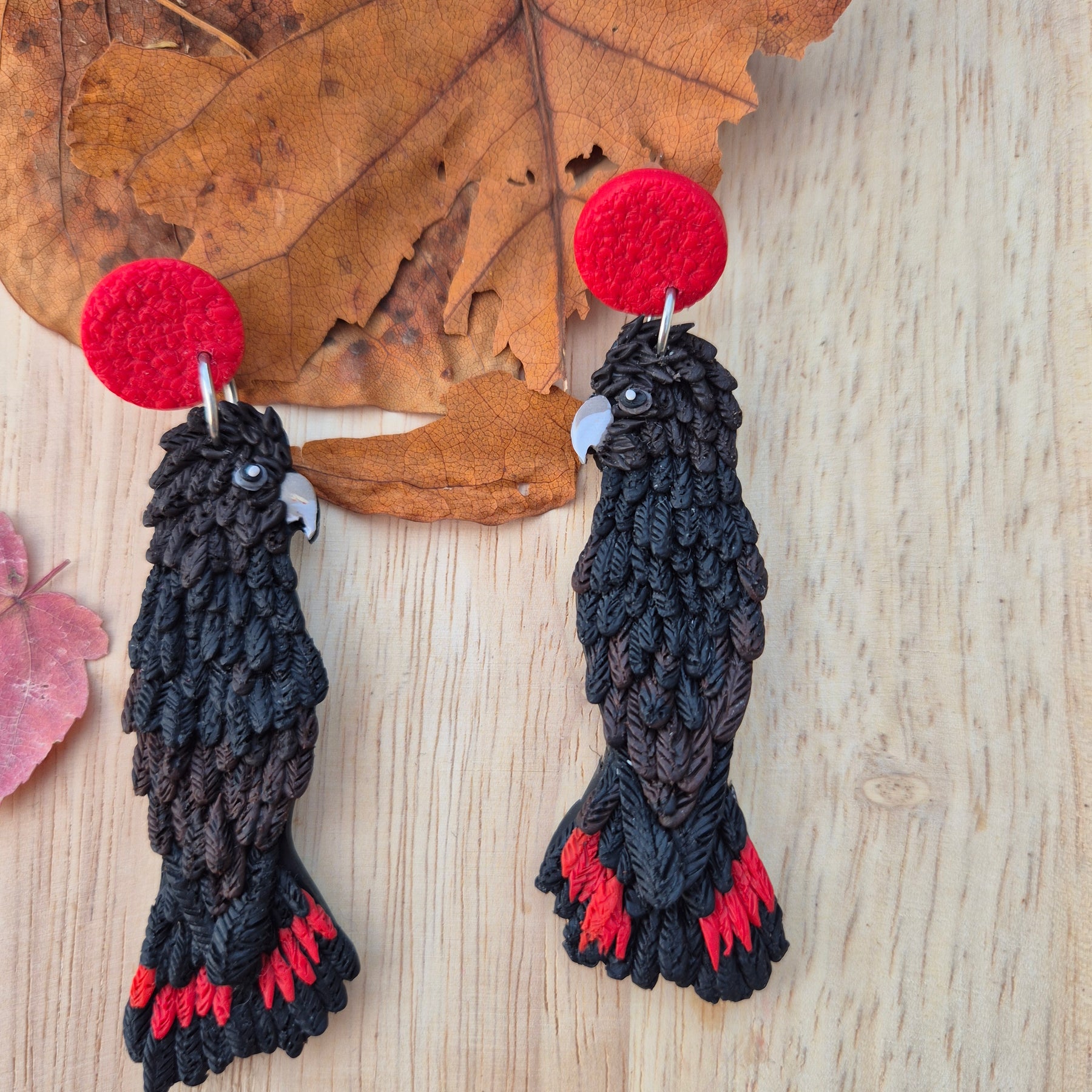 Glossy Black Cockatoo Earrings