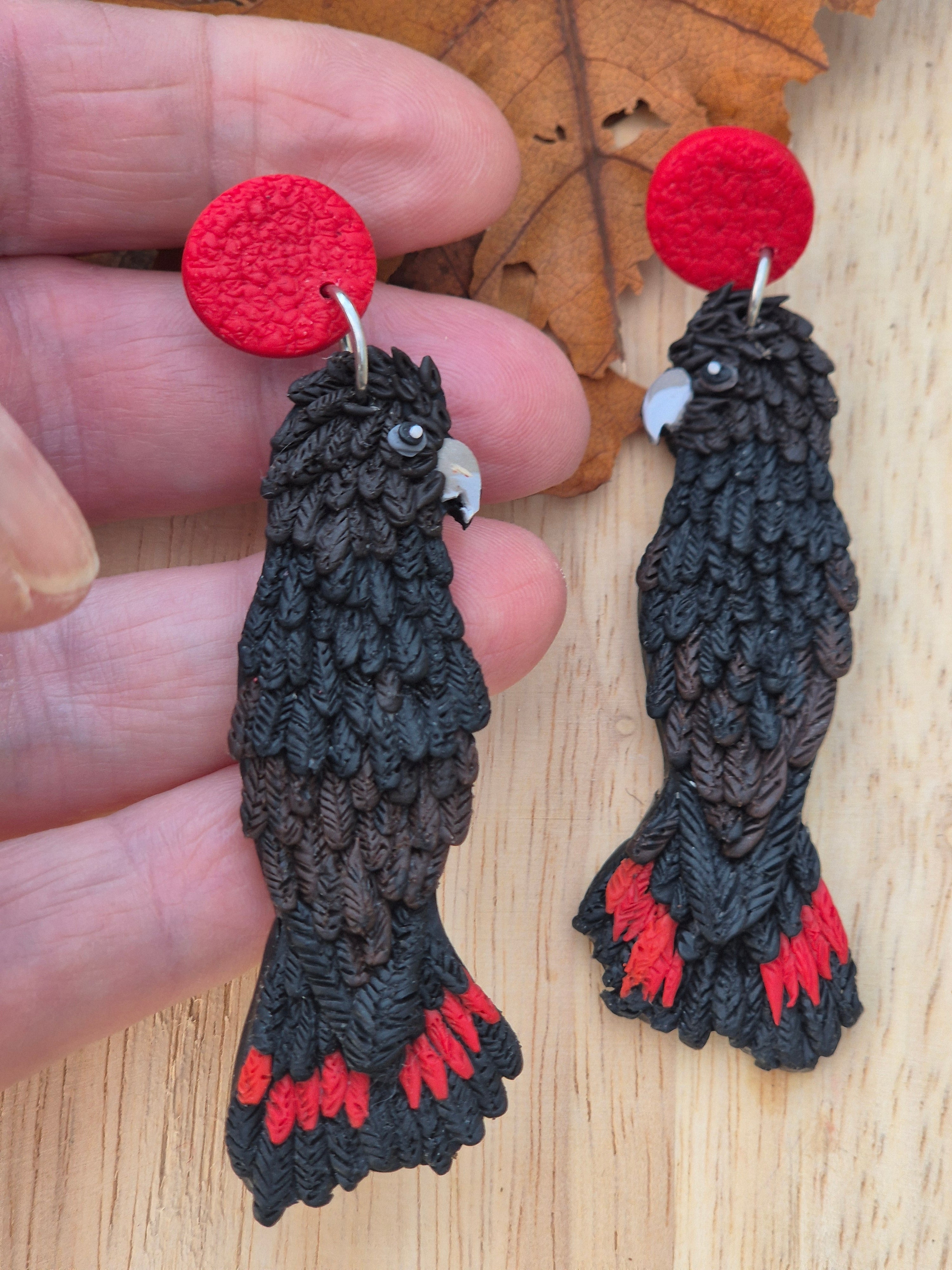Glossy Black Cockatoo Earrings