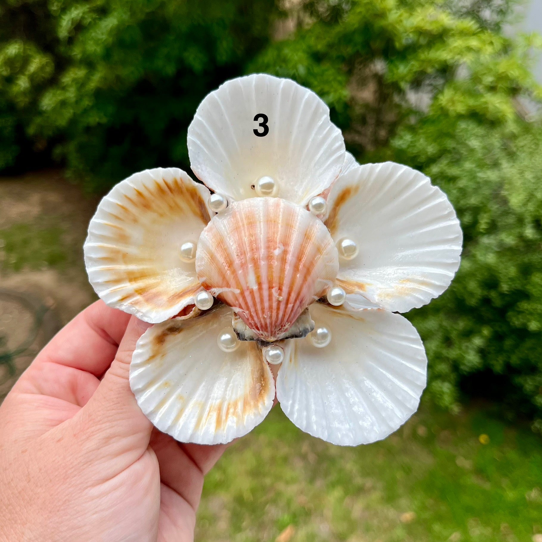 Large Scallop Shell Flower Trays