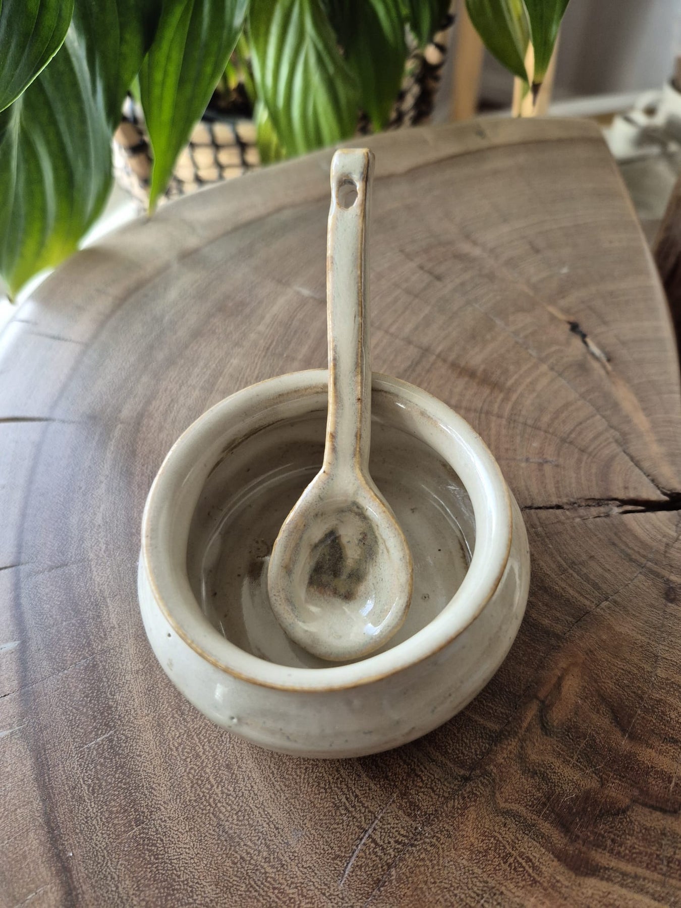 Bowl and Spoon Set