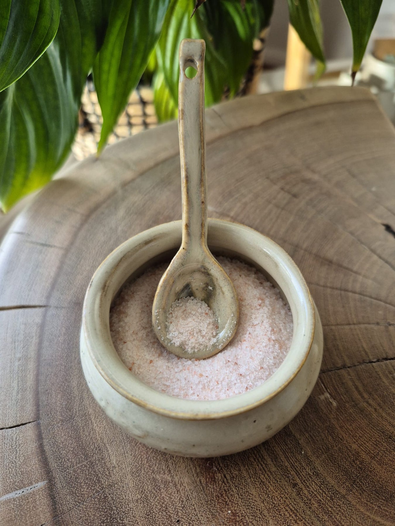 Bowl and Spoon Set