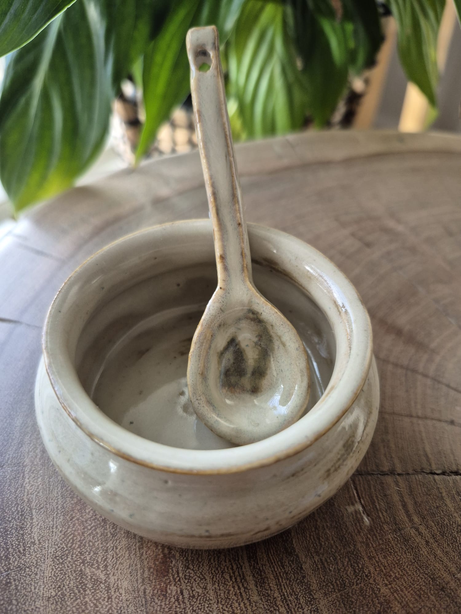 Bowl and Spoon Set