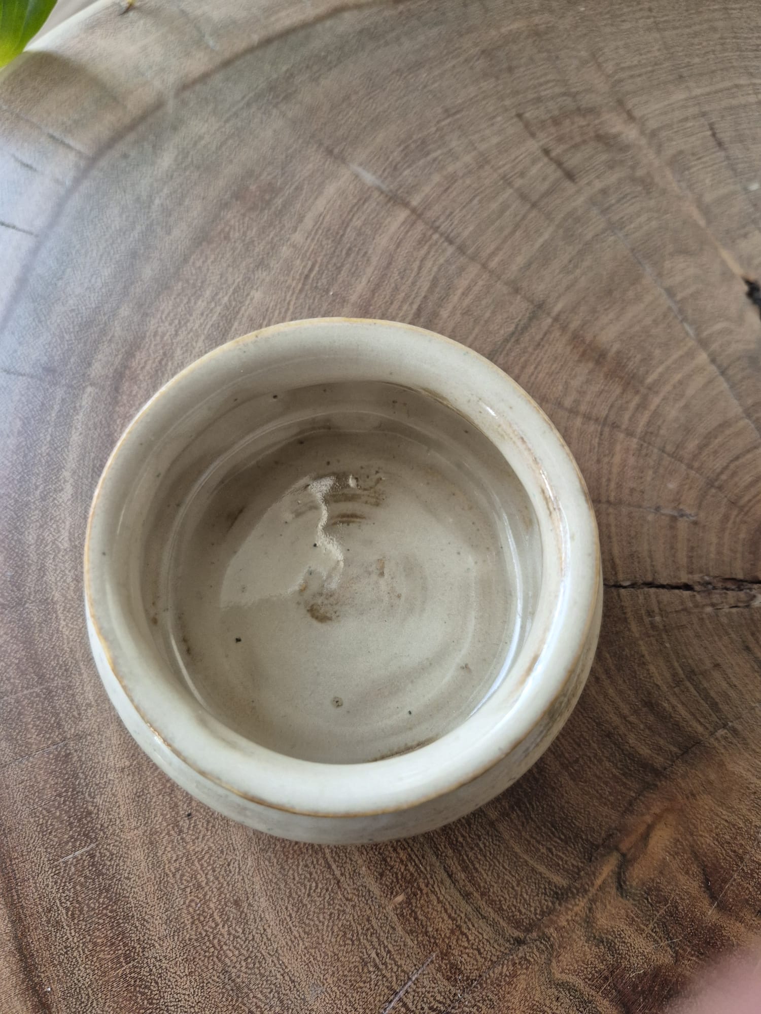 Bowl and Spoon Set