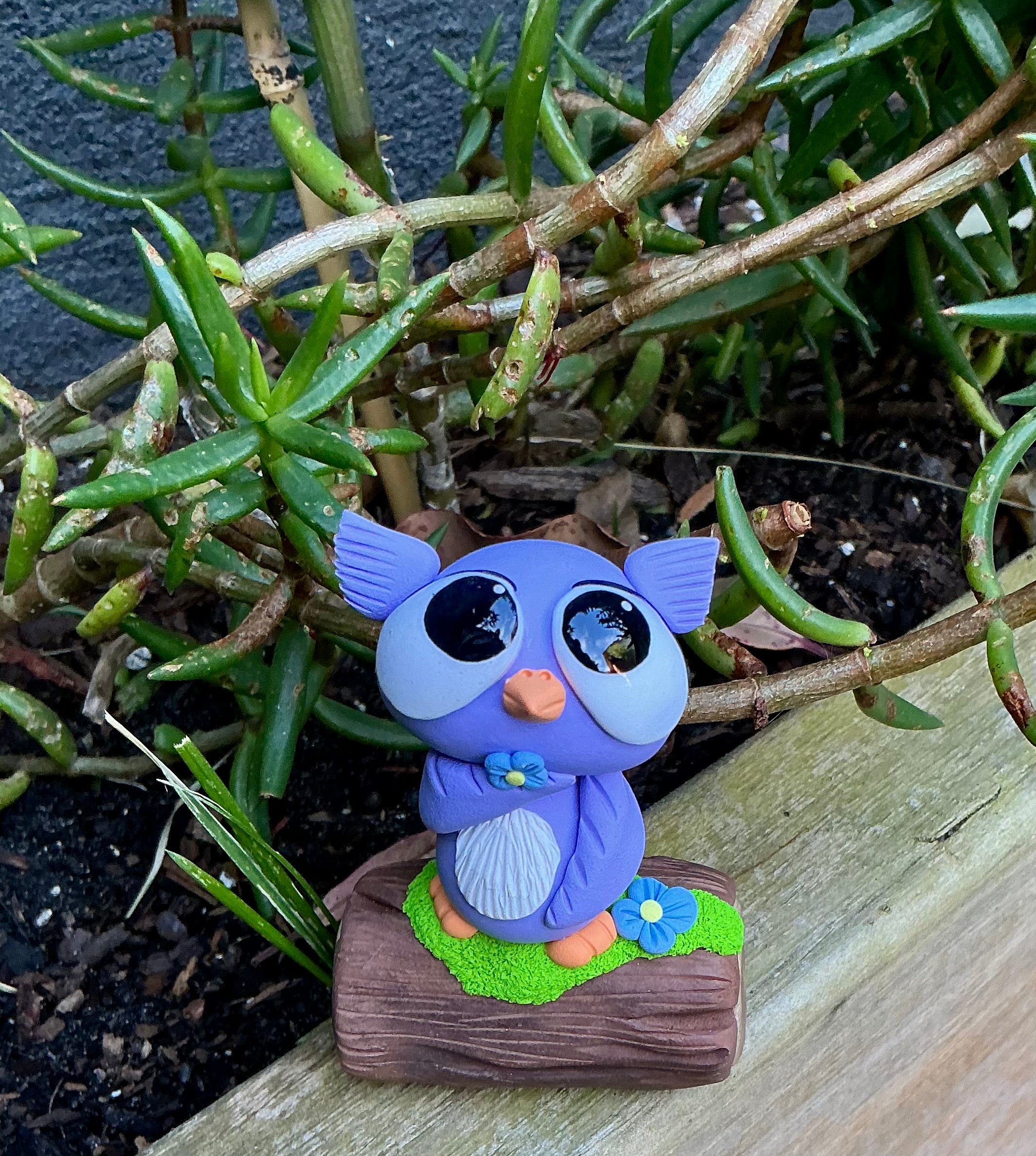 Enchanted Owl