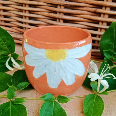 Calendula orange Daisy cup (orange cup A)