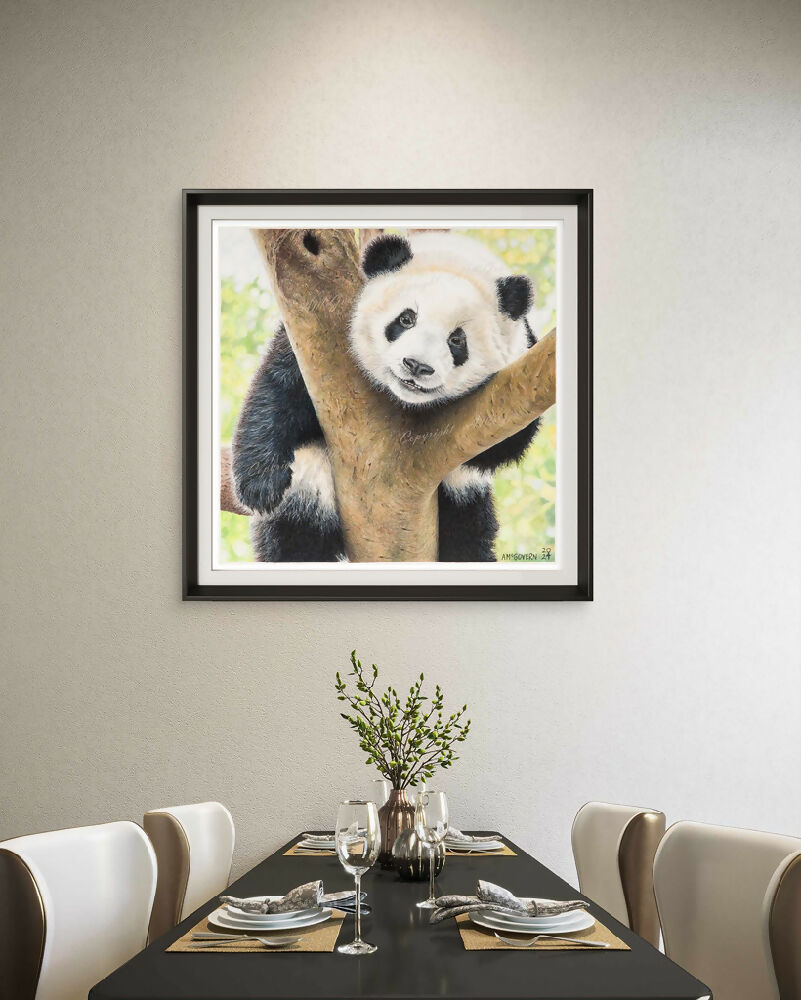 Room-PANDA-1024x820-WEB