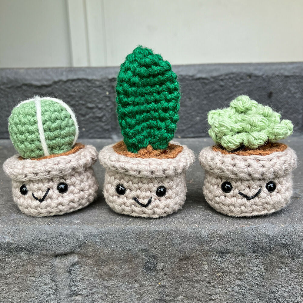 Crochet Succulent and Cacti Trio of Buddies