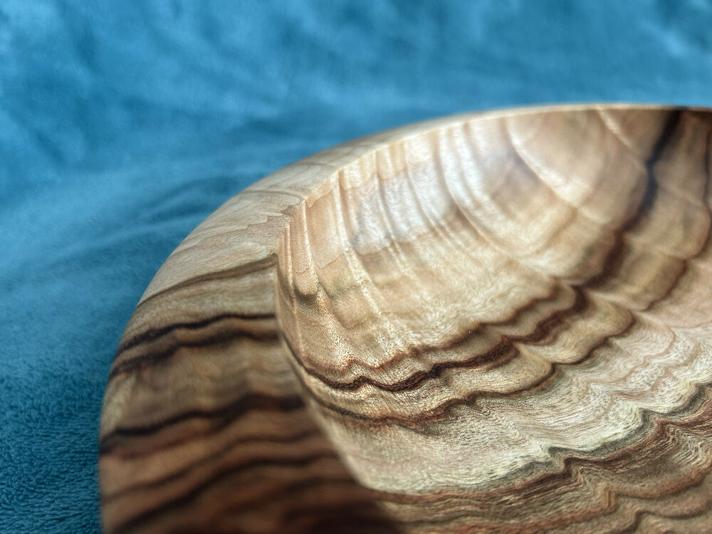 Camphor Laurel Bowl