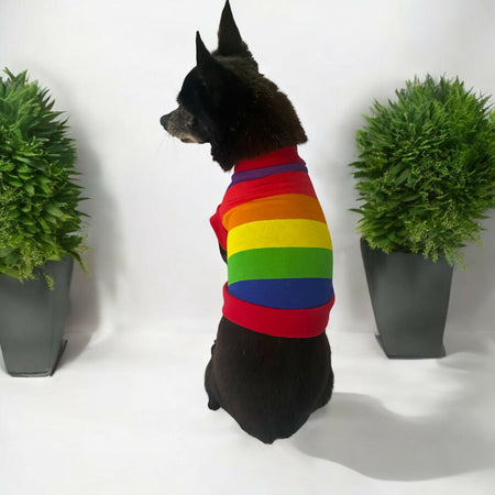 Tank tops/t-shirts for  for standard dogs, dachshund, micro dog