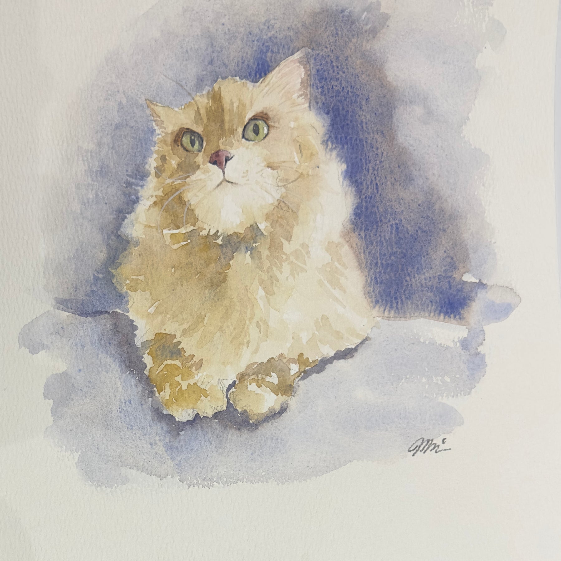 Your Pet Portrait with Personality🐾