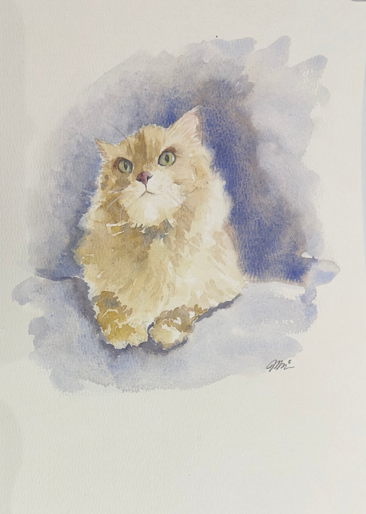 Your Pet Portrait with Personality🐾