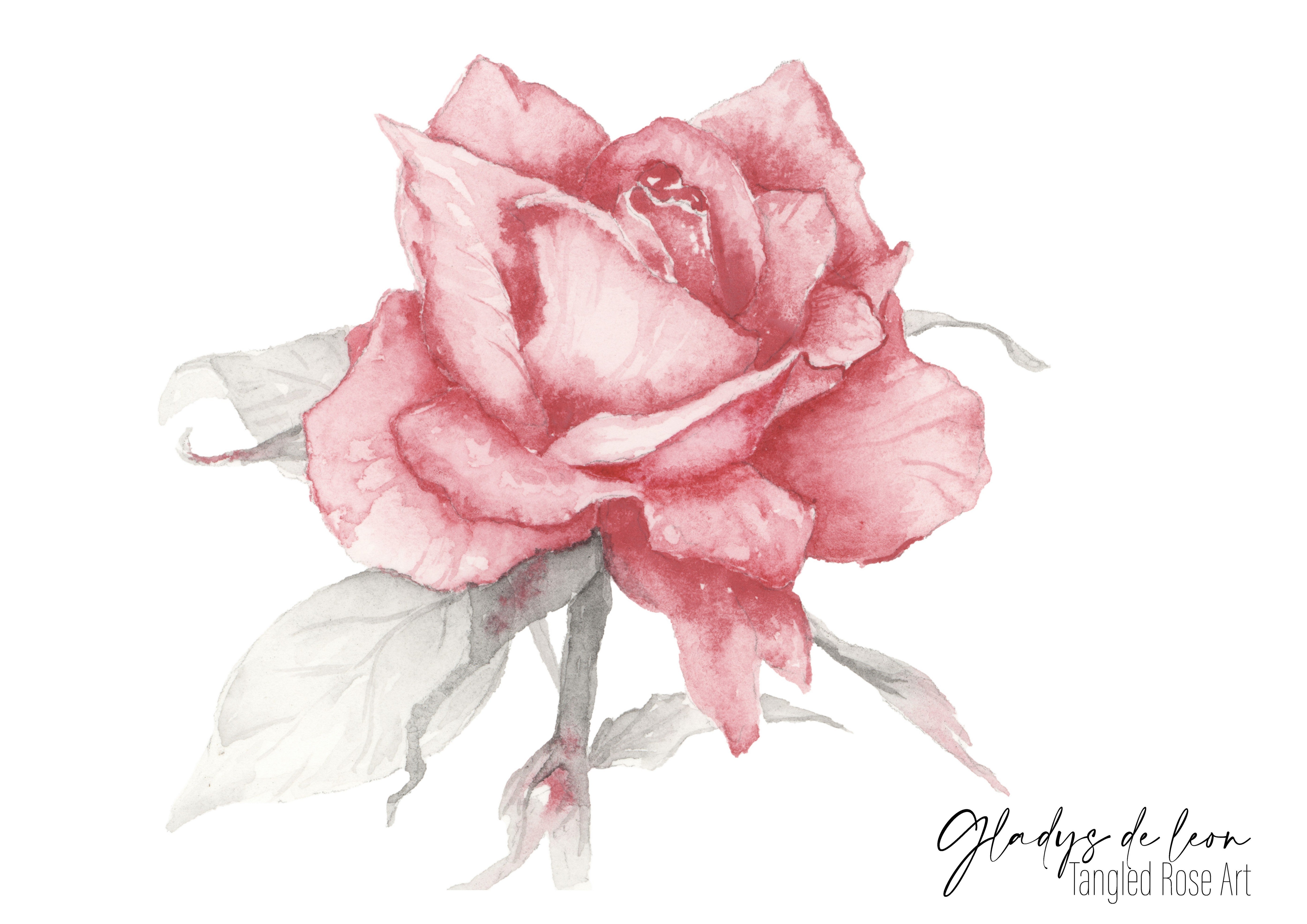 ROSE ARCHIVAL PRINTS AND CARD - TANGLED ROSE ART