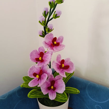 Everlasting Orchid Pot 🌸 | Orchid Flower Arrangement | Home Décor & Gift