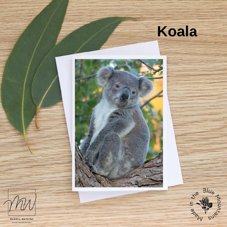 Blank Greeting Card - Koala