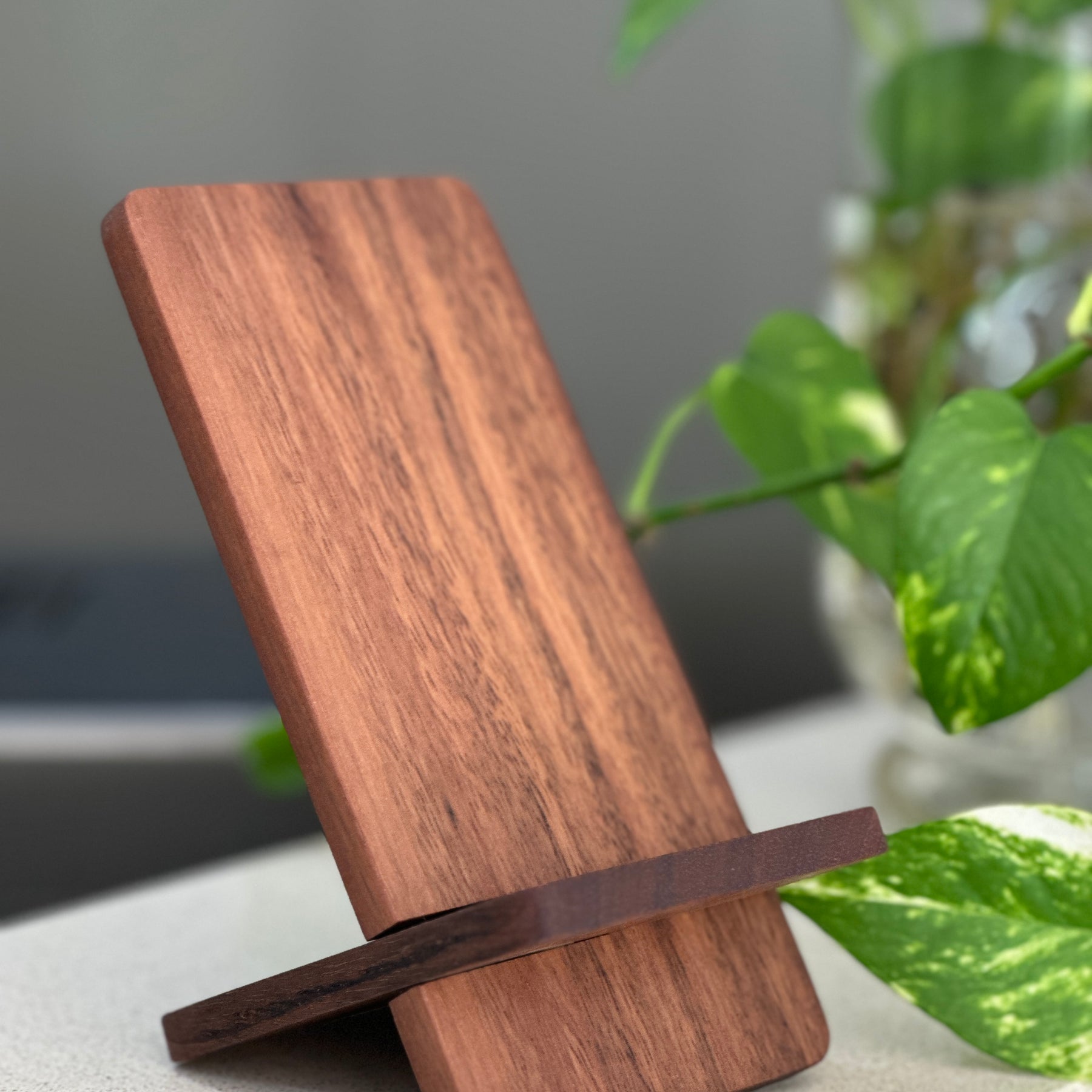 Phone holders