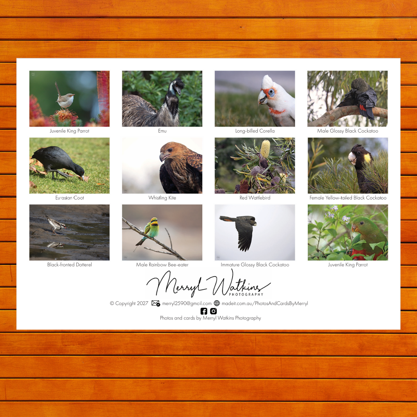 2027 Calendar - A Year of Birds - A4 Photographic Calendar