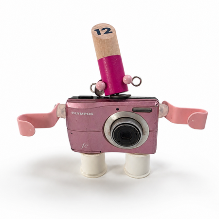 Remade, Reimagined: Pinky Olympus-FE Camera Bot