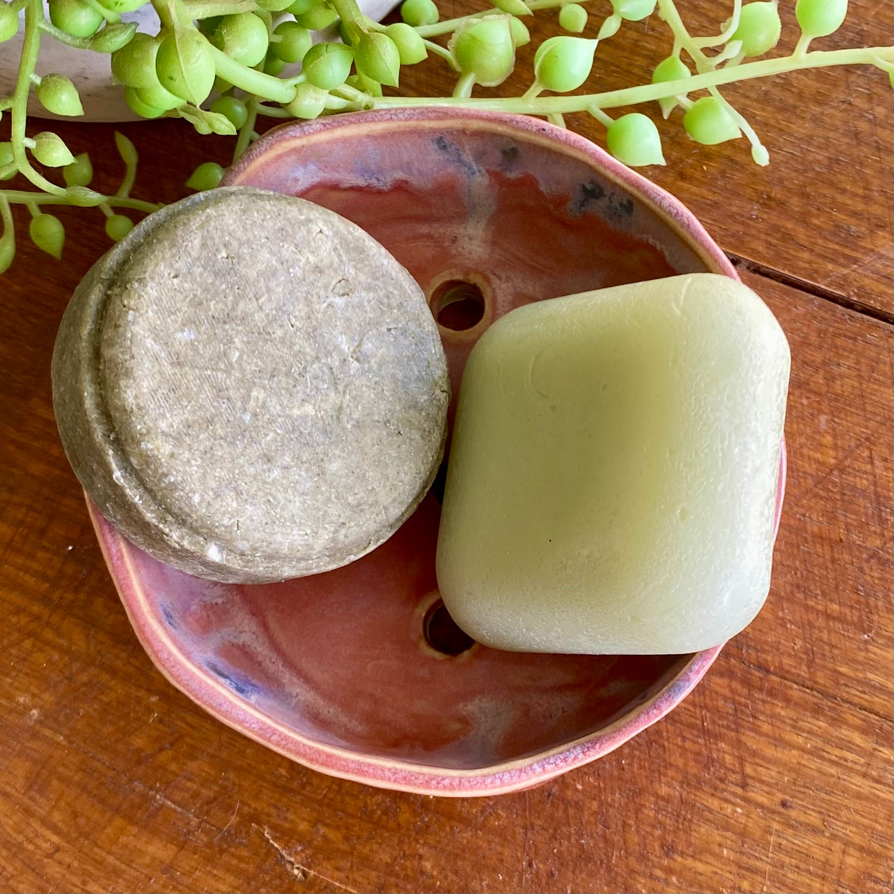 Organic Handcrafted Shampoo/ConditionerBar Holder/HandmadePottery