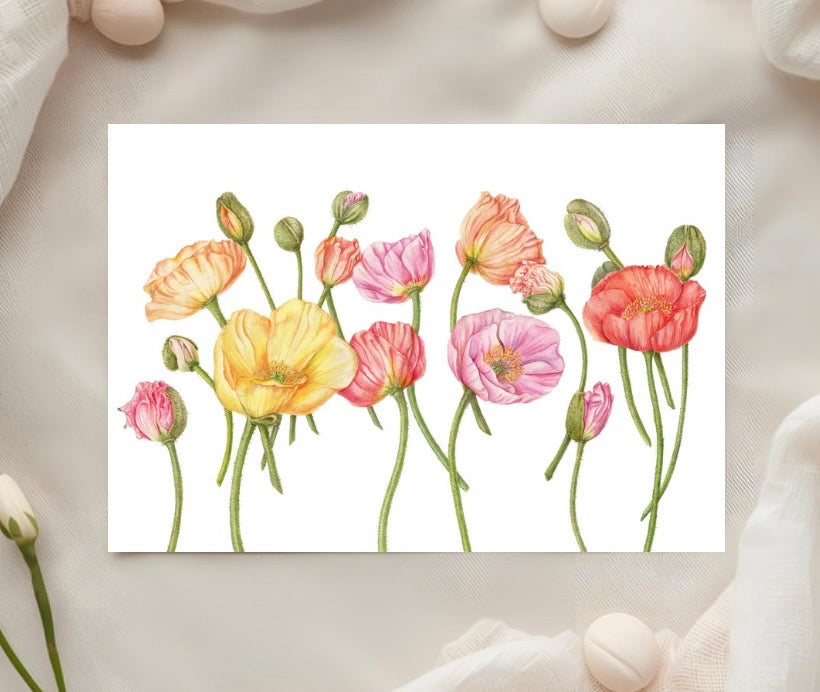 Iceland Poppy Botanical Art Card - Handmade Watercolour Greeting Card