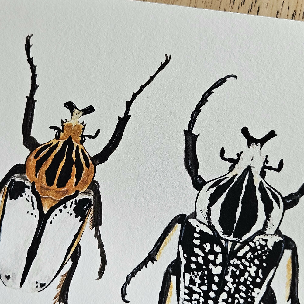 art print - the fauna series - goliath beetle trio