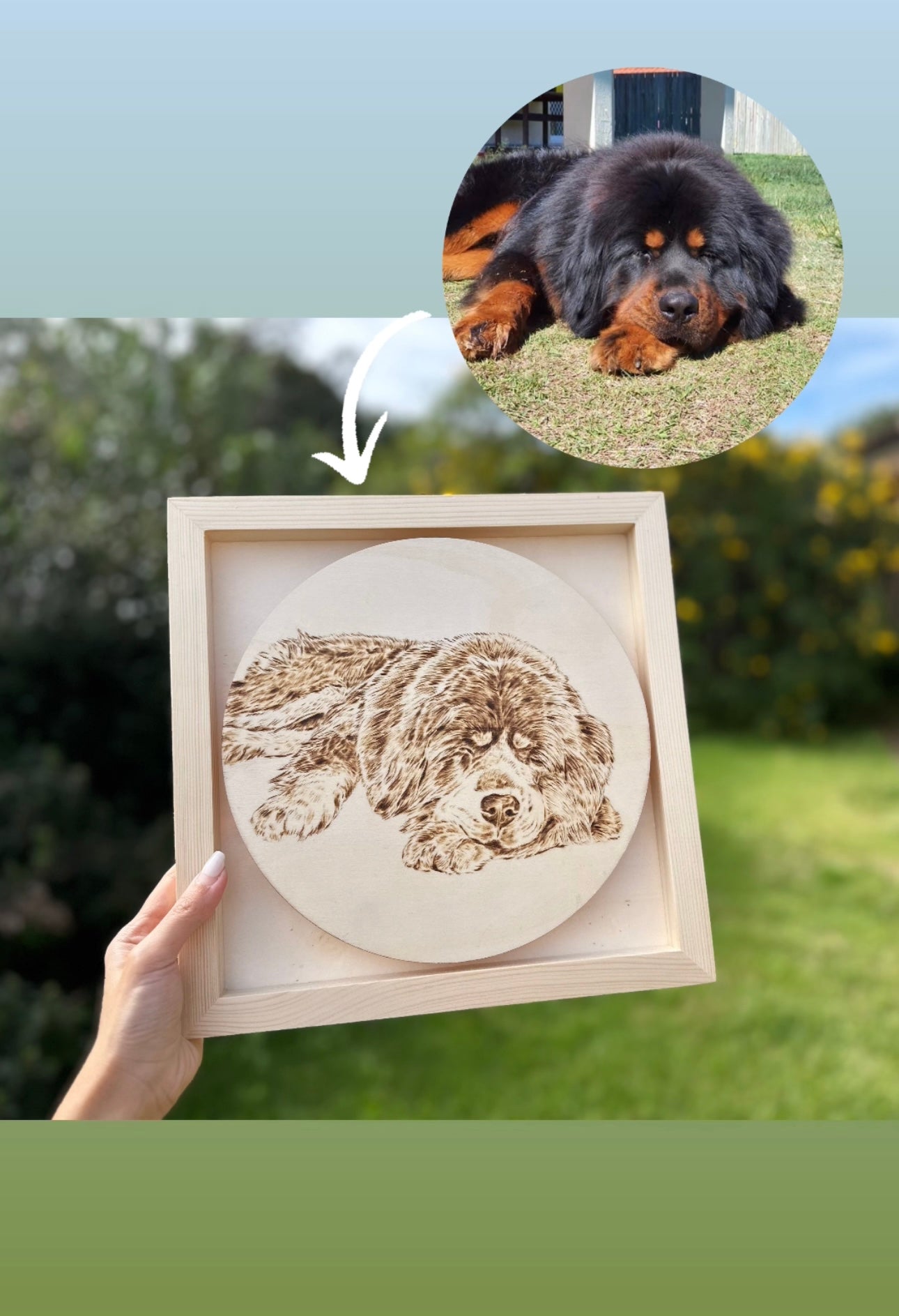 Custom Pet Portrait on Plywood – 30x30 cm Framed Handmade Pyrography Woodburning Art