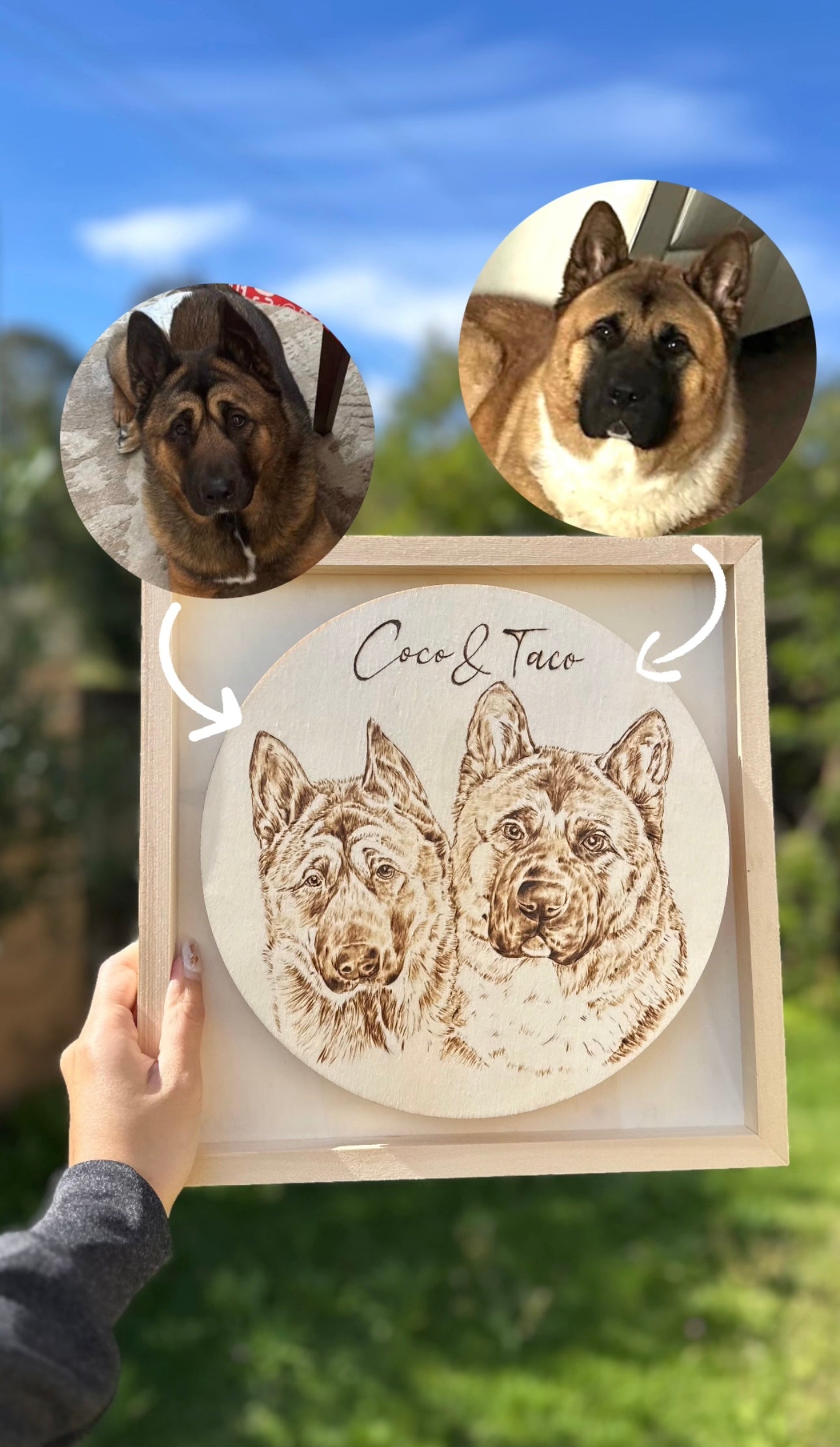 Custom Pet Portrait on Plywood – 30x30 cm Framed Handmade Pyrography Woodburning Art