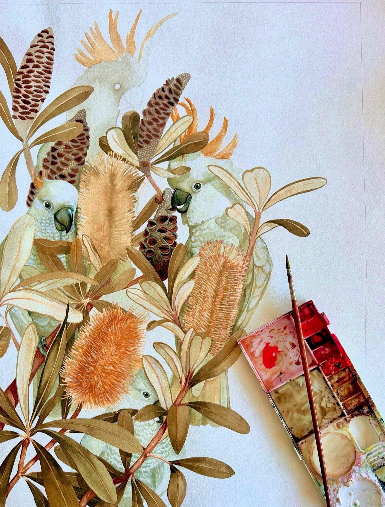 Sulphur Crested Cockatoos and Coastal Banksias art print by Debra Meier Art