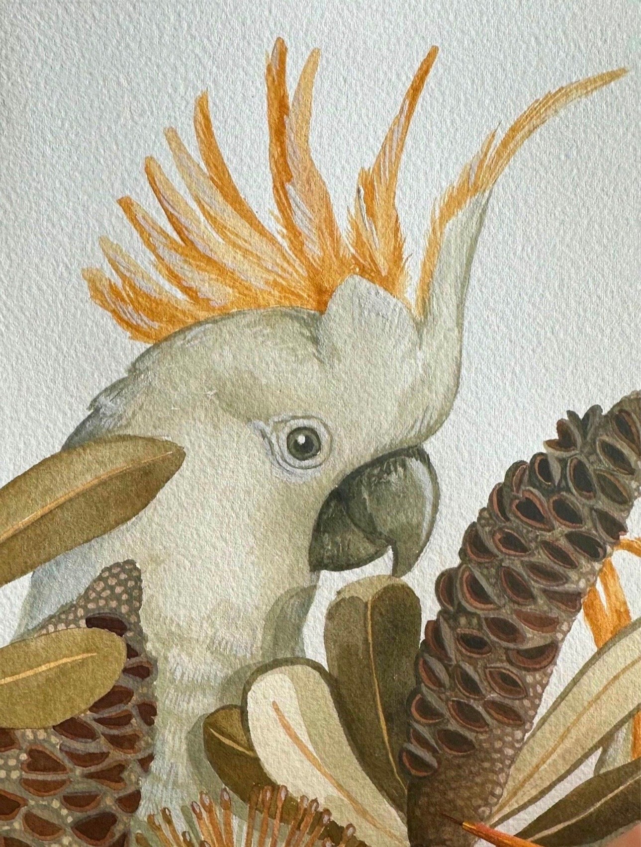 Sulphur Crested Cockatoos and Coastal Banksias art print by Debra Meier Art