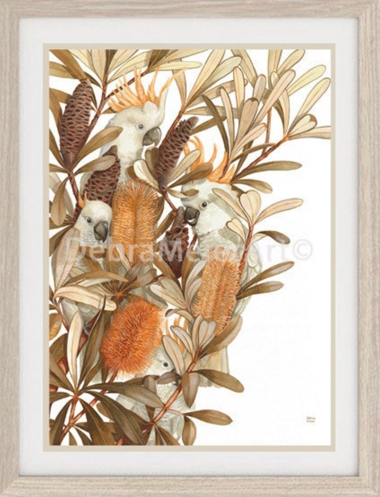 Sulphur Crested Cockatoos and Coastal Banksias art print by Debra Meier Art