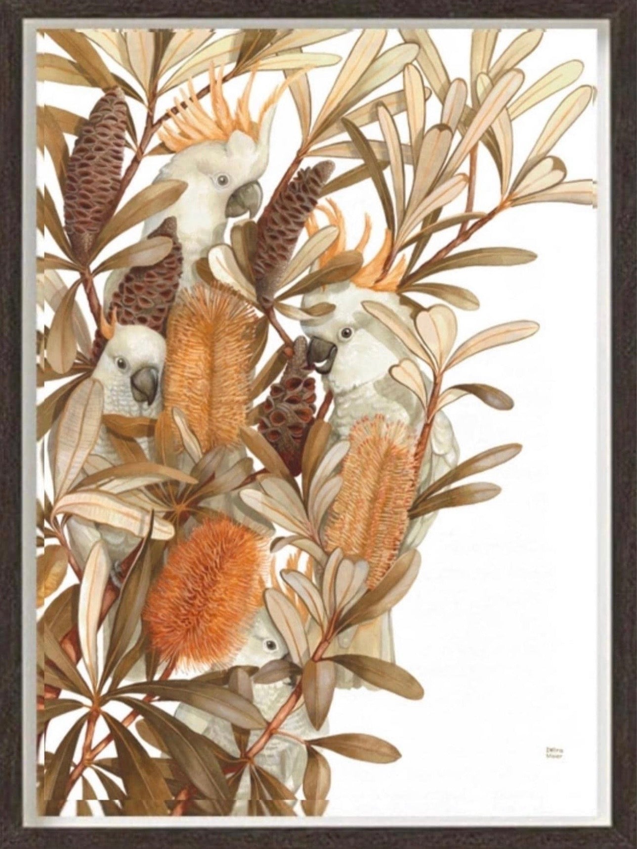 Sulphur Crested Cockatoos and Coastal Banksias art print by Debra Meier Art