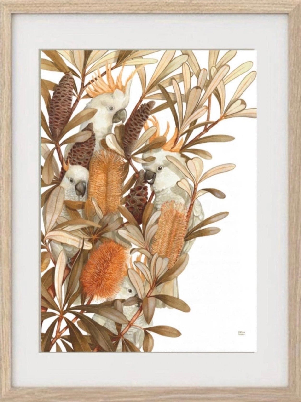 Sulphur Crested Cockatoos and Coastal Banksias art print by Debra Meier Art