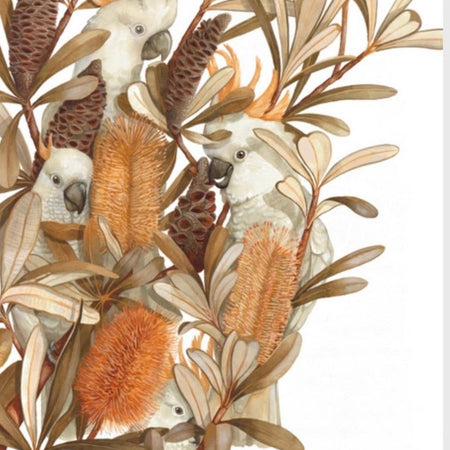Sulphur Crested Cockatoos and Coastal Banksias art print by Debra Meier Art