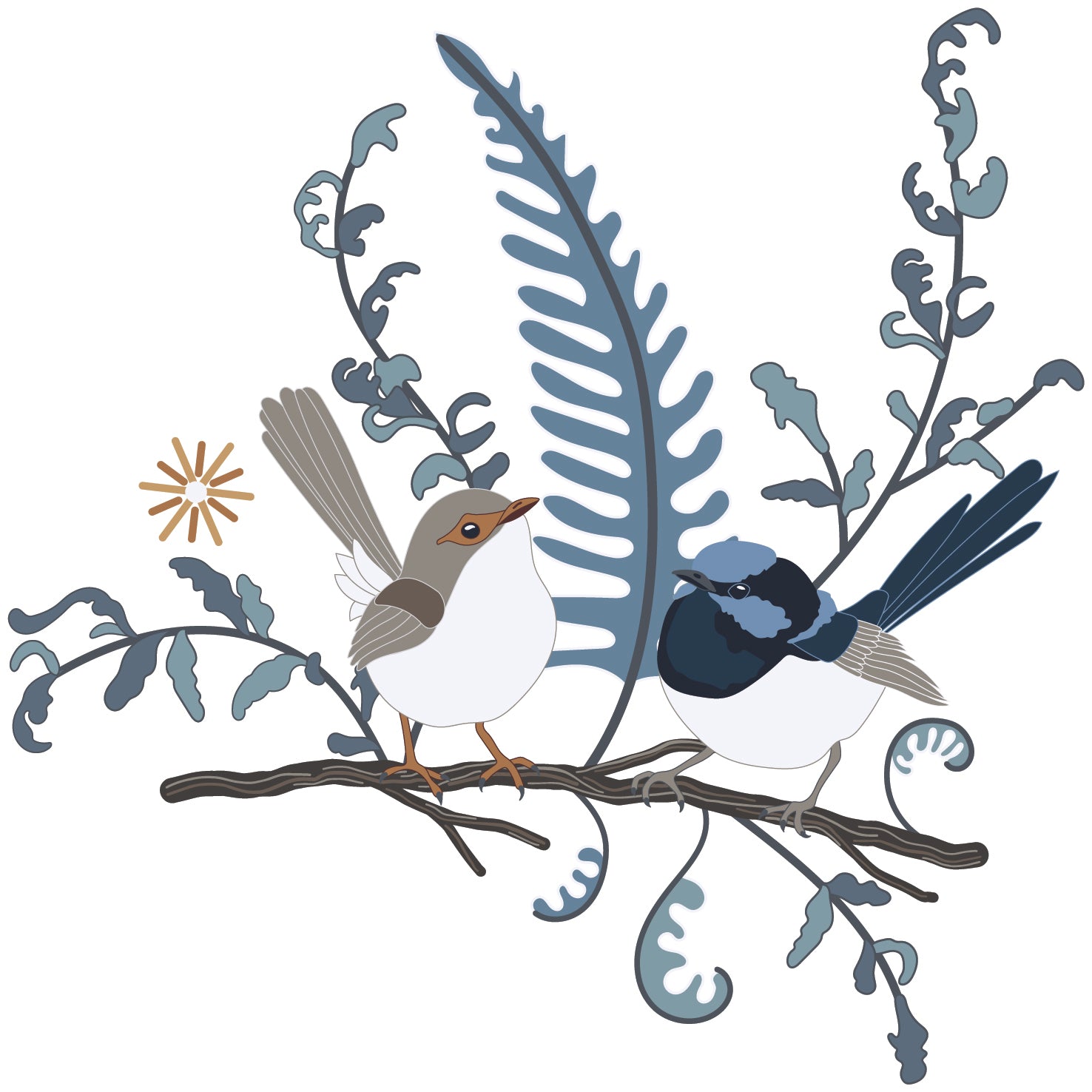 Superb Fairy Wrens on a Straight Branch Sticker