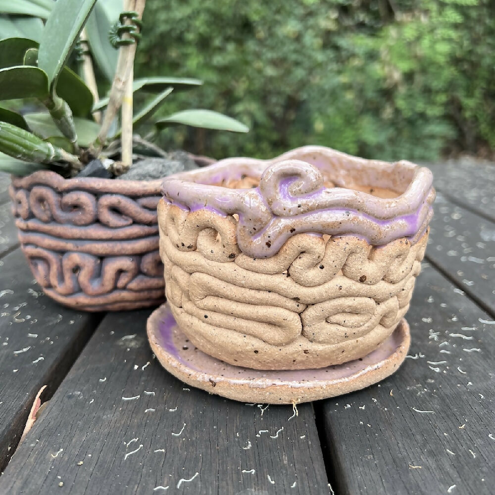 Coil pot with saucer lifestyle