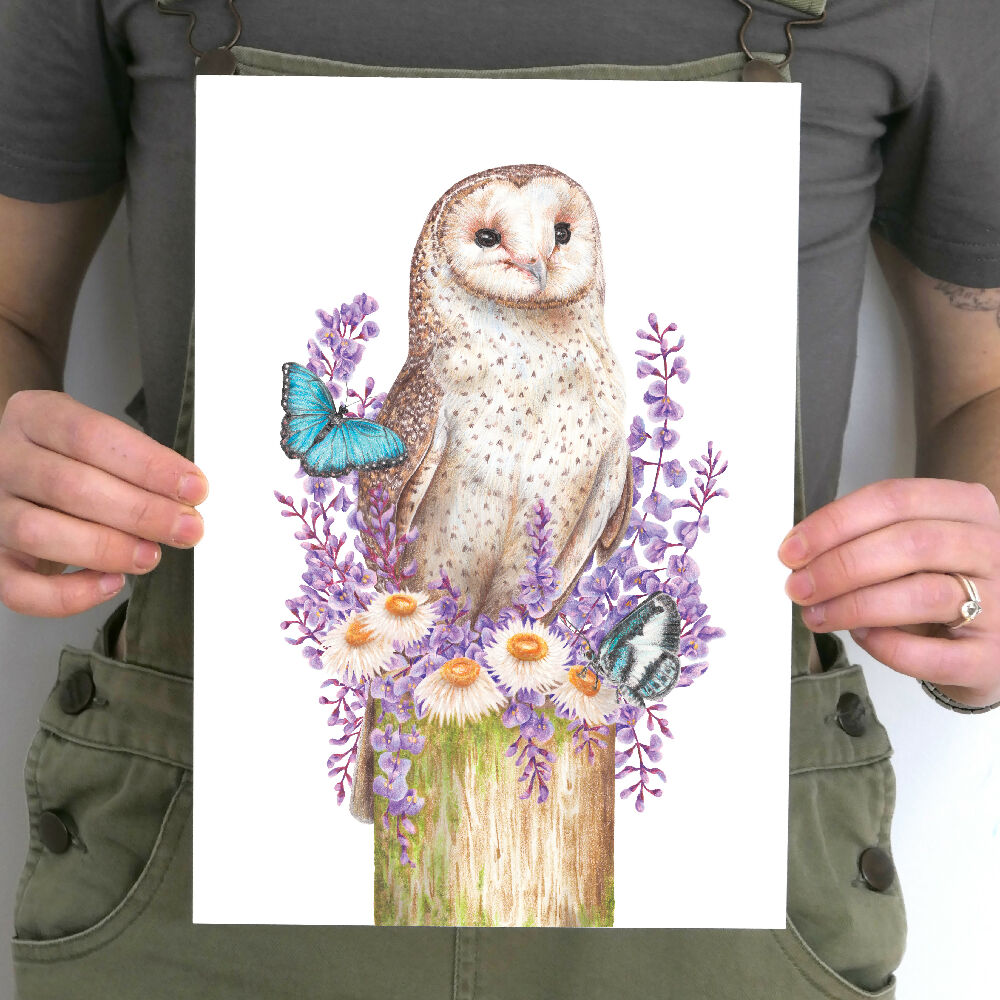 A4 art print of an Australian Masked Owl surrounded by butterflies and native Australian flowers, illustrated by Australian artist Kayla Reay.