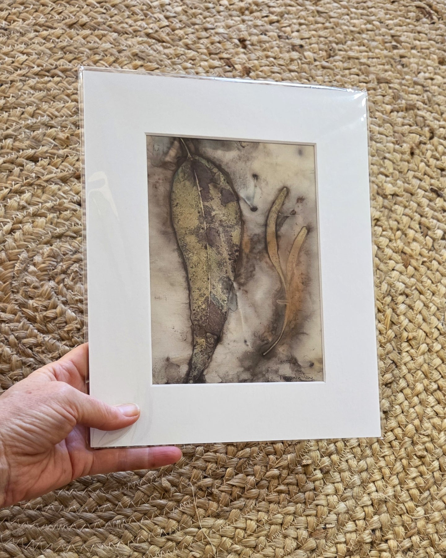 Whispering Gum ~ Original Artwork – Botanical Print & Watercolour