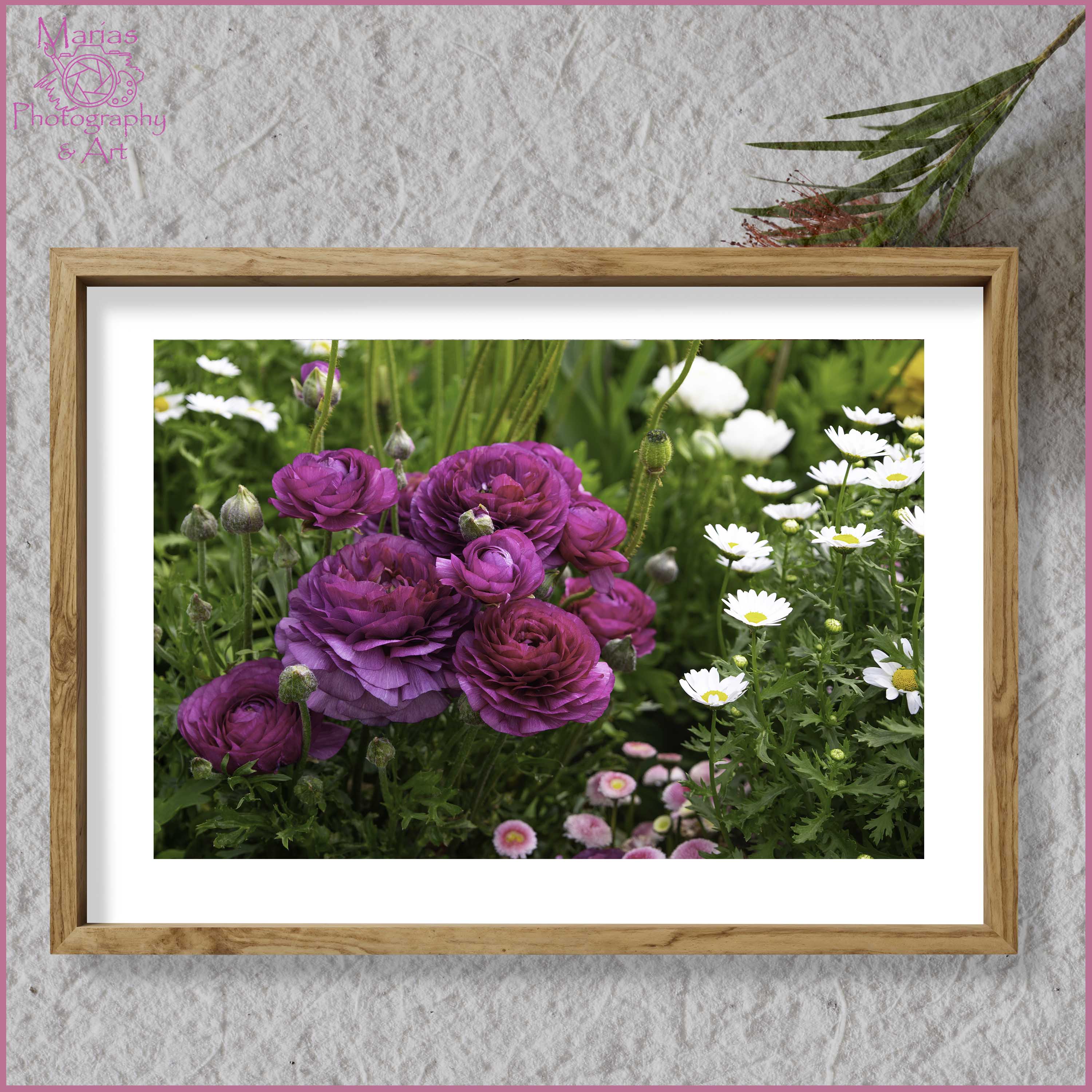 Photographic Print | Wall Art | Flowers