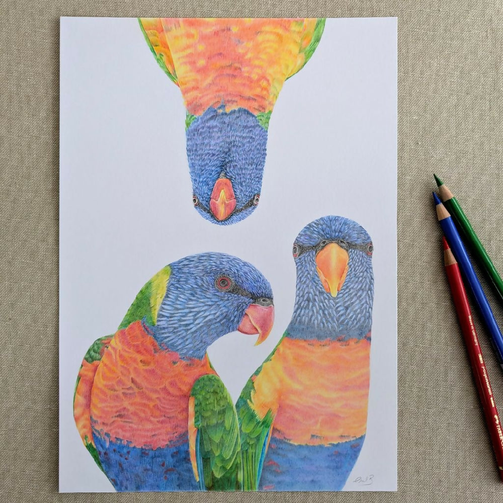 rainbowlorikeetsoriginaldrawingfirstphoto