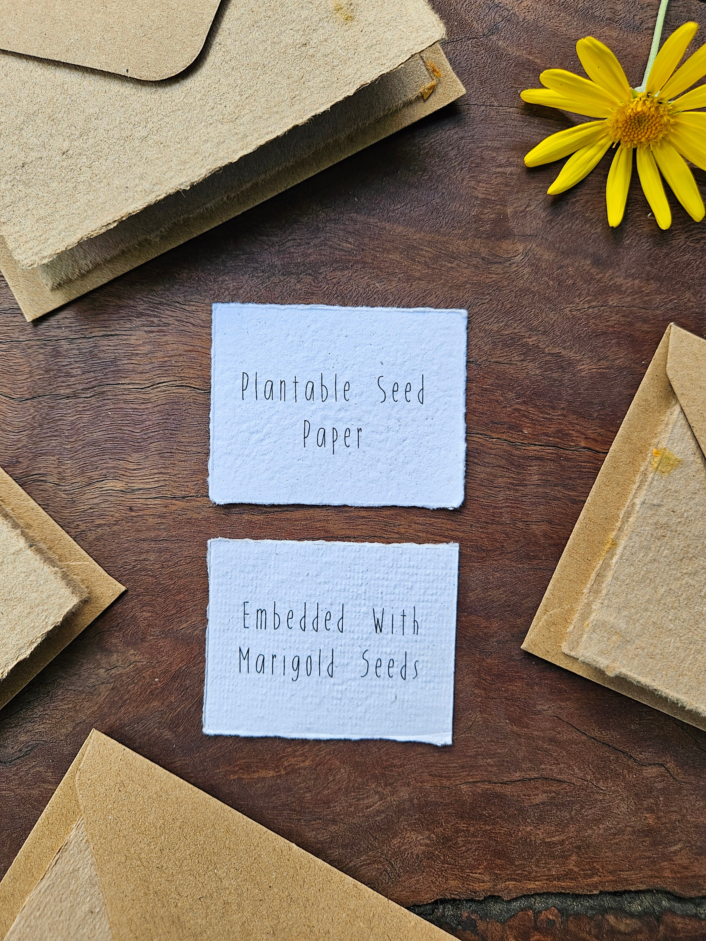 Seeded Plantable handmade paper gift cards- set of 4