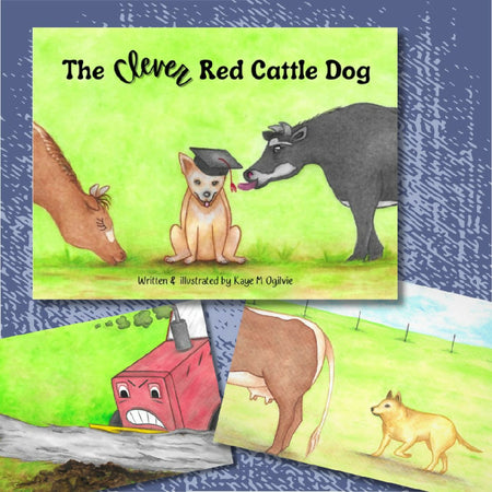 The Clever Red Cattle Dog